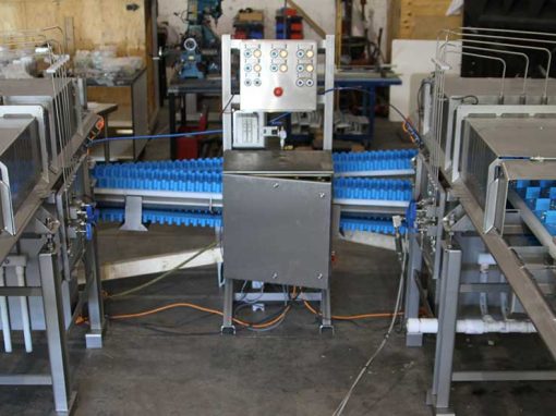 Xilix Waterjet Cutting-Celery Dual Conveyor System for Perfect Portion Control